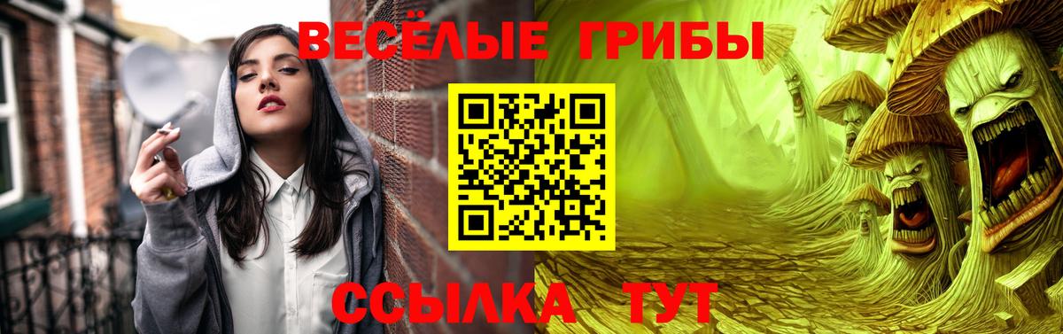 Псилоцибиновые грибы Psilocybine cubensis Оренбург